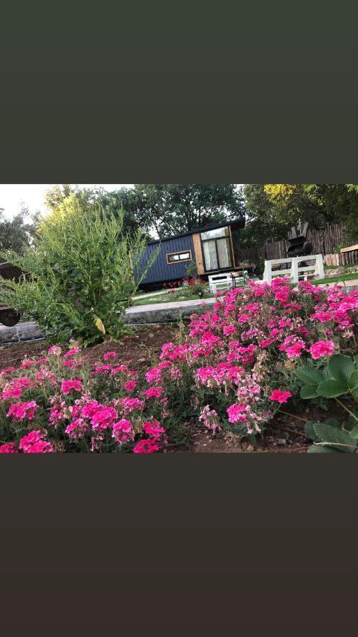 Hotel Tiny House Kayakoey Kumquat Extérieur photo
